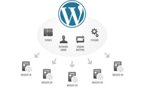 Faut-il adopter WordPress Multisite ? Avantages et Inconvénients à évaluer
